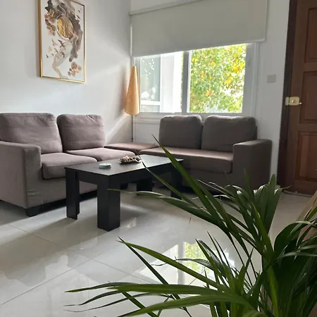 Cozy Oasis Lemon Tree - In The Heart Of Kato *